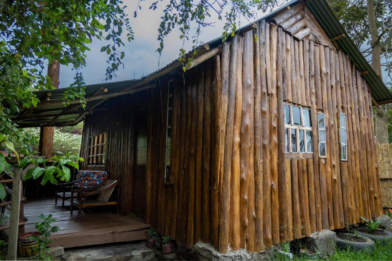 Kalitusi Nature Resort Fort Portal المظهر الخارجي الصورة