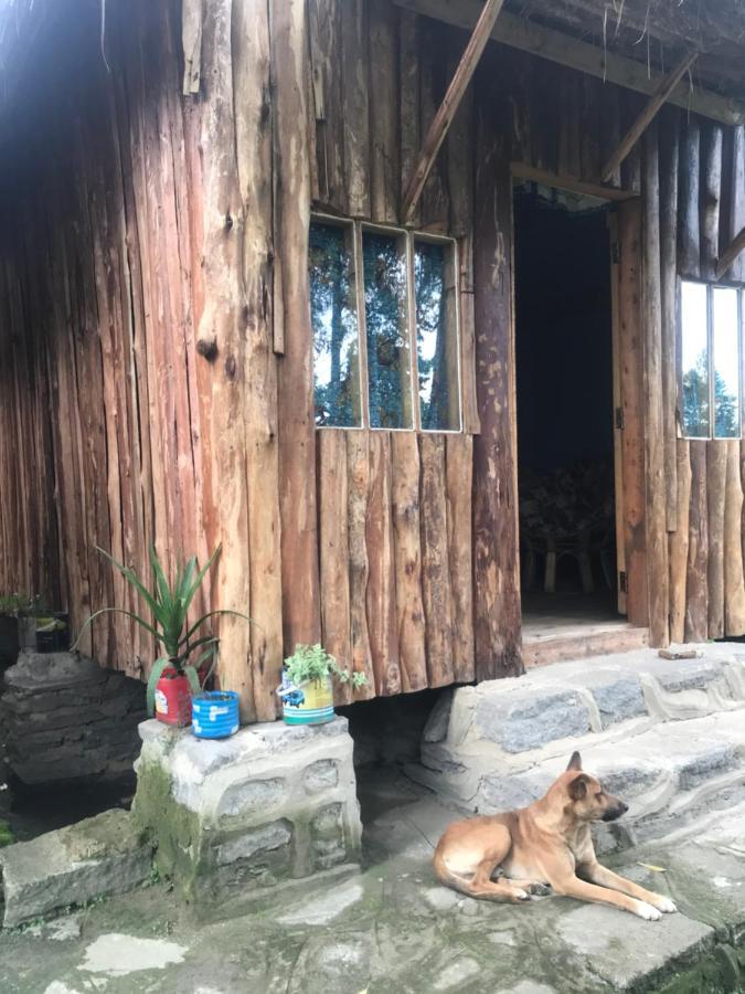 Kalitusi Nature Resort Fort Portal المظهر الخارجي الصورة