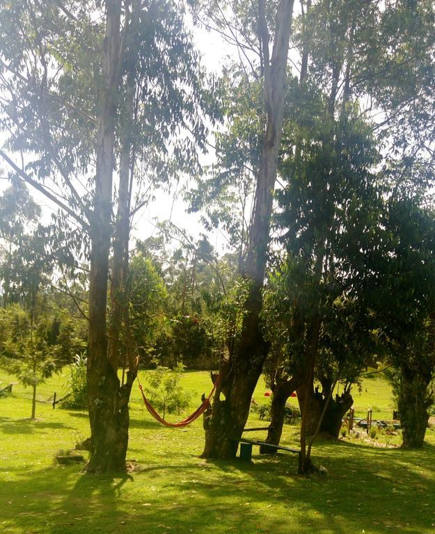 Kalitusi Nature Resort Fort Portal المظهر الخارجي الصورة