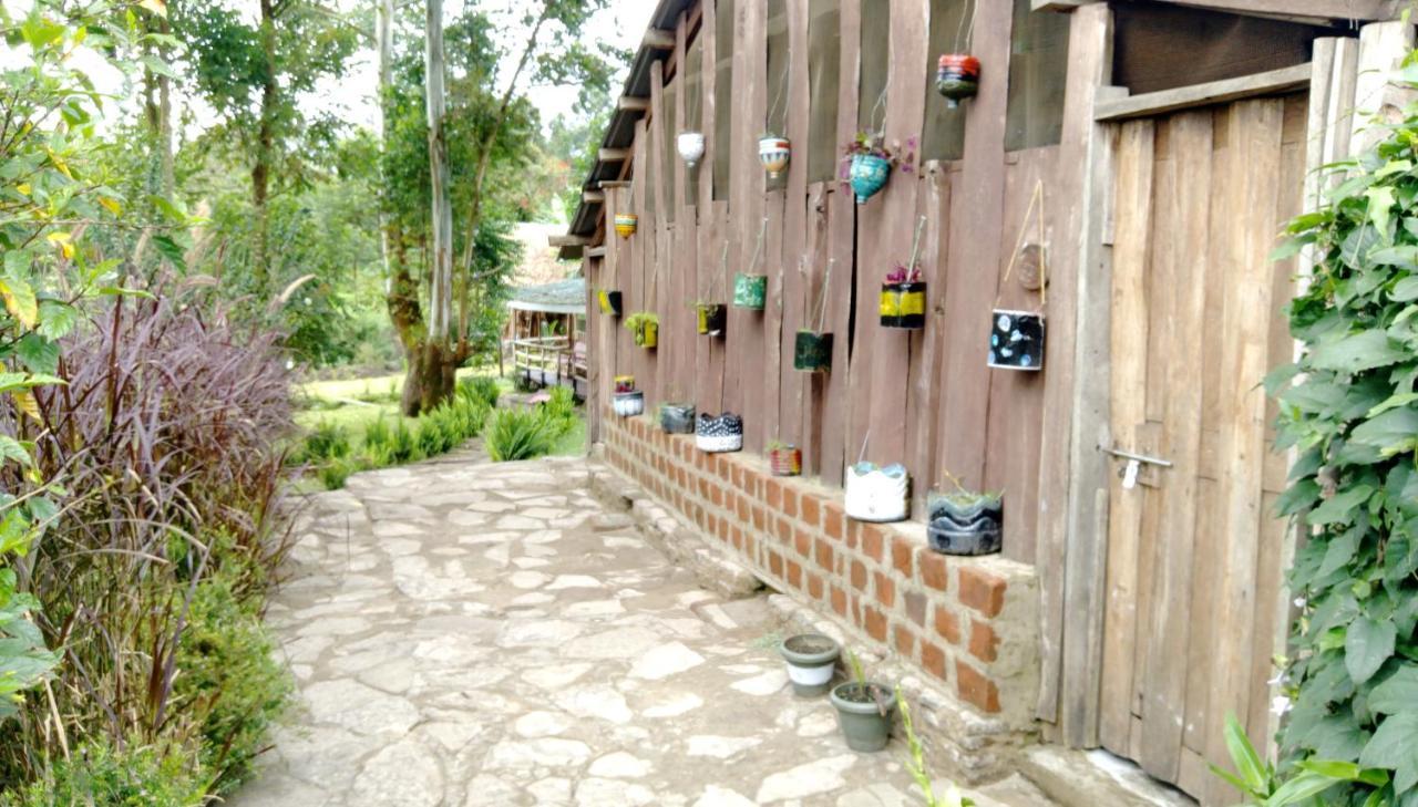 Kalitusi Nature Resort Fort Portal المظهر الخارجي الصورة